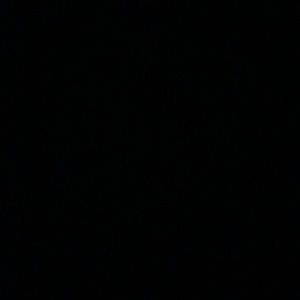 Meet your Posher, Audrey